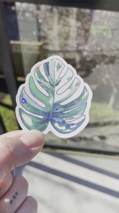 Monstera albo sticker