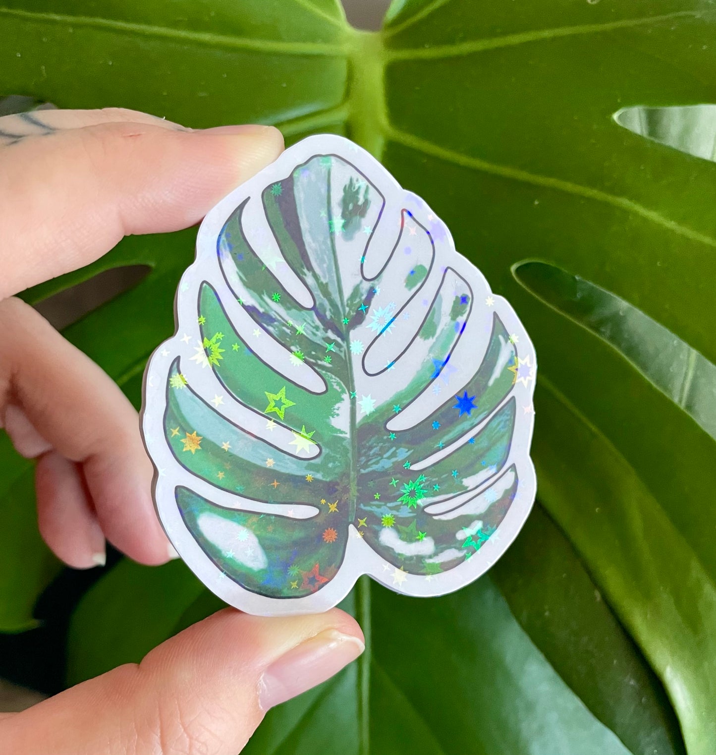 Monstera albo sticker