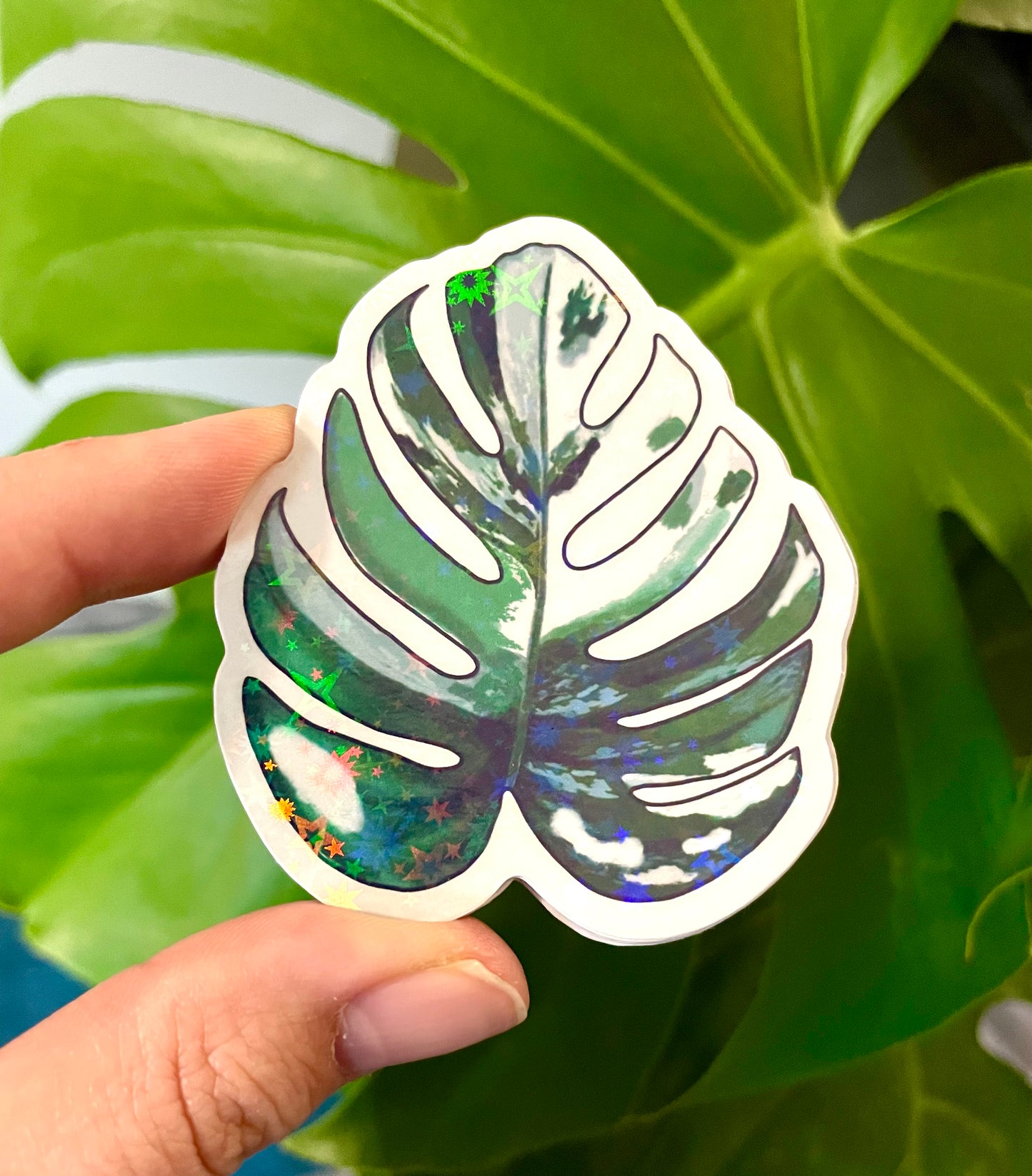 Monstera albo sticker