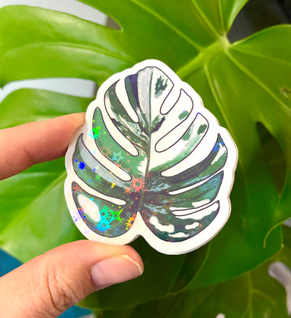 Monstera albo sticker